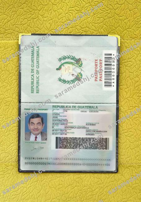 Guatemala passport photo look